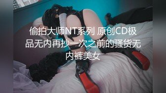 偷拍大师NT系列 原创CD极品无内再抄一次之前的骚货无内裤美女