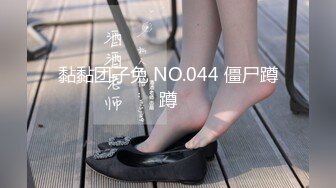 黏黏团子兔 NO.044 僵尸蹲蹲