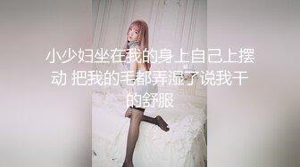 小少妇坐在我的身上自己上摆动 把我的毛都弄湿了说我干的舒服