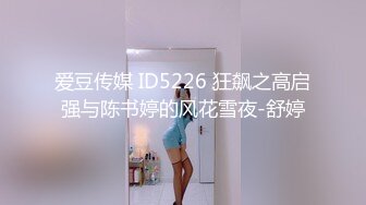 爱豆传媒 ID5226 狂飙之高启强与陈书婷的风花雪夜-舒婷