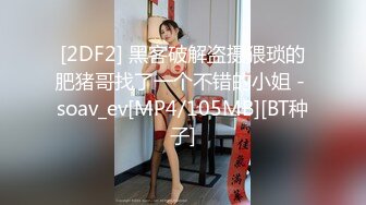 [2DF2] 黑客破解盗摄猥琐的肥猪哥找了一个不错的小姐 - soav_ev[MP4/105MB][BT种子]