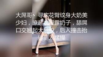 大屌哥丶寻欢花臂纹身大奶美少妇，撩起衣服露奶子，舔屌口交翘起大屁股，后入撞击抬腿侧入猛操