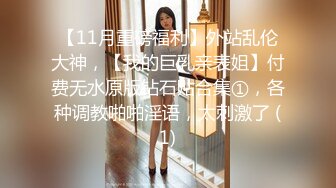 【11月重磅福利】外站乱伦大神，【我的巨乳亲表姐】付费无水原版钻石贴合集①，各种调教啪啪淫语，太刺激了 (1)