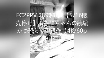 FC2PPV 2890385 【5/16販売停止】もみじちゃんの続編かつ恐らく引退作【4K/60p】 [有]