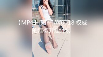 【MP4】[国产]AV0018 权威的淫欲升迁计划