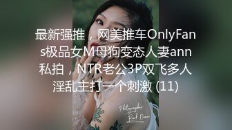 最新强推，网美推车OnlyFans极品女M母狗变态人妻ann私拍，NTR老公3P双飞多人淫乱主打一个刺激 (11)