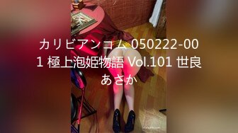 カリビアンコム 050222-001 極上泡姫物語 Vol.101 世良あさか