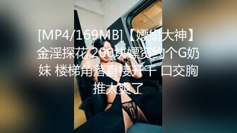 [MP4/169MB]【嫖娼大神】金淫探花 200块嫖资约个G奶妹 楼梯角落直接开干 口交胸推太爽了