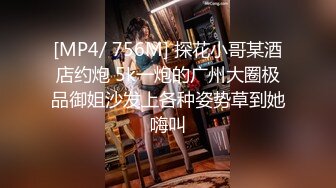 [MP4/ 756M] 探花小哥某酒店约炮 5k一炮的广州大圈极品御姐沙发上各种姿势草到她嗨叫