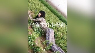 乌鲁木齐小母狗